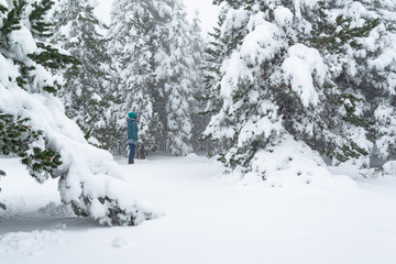 Mujer joven haciendo senderismo un día de invierno en un bonito bosque nevado. Concepto de aventura.