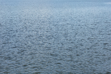 Water surface with small waves, abstract nature background.