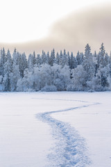 Winter landscape with trails in the new snow
