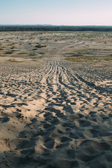 Fototapeta na wymiar footprints in sand