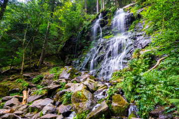 Germany, Magic atmosphere at green moss covered stones of Zweribach cascade in black forest landscape