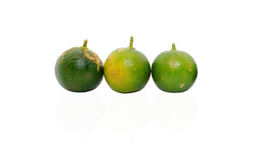 Calamondin or calamansi lime on a white background