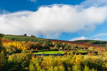 Fototapeta na wymiar Beautiful autumn landscape at the Irish countryside. Fall background.