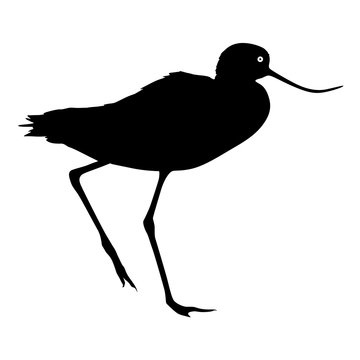 recommend clip art: Silhouette bird Long billed curlew on a white background