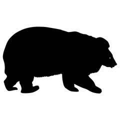 Silhouette brown bear on a white background
