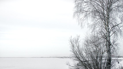 black and white winter landscape