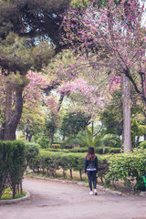 Fototapeta premium Taranto, Italy