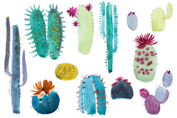 Watercolor hand drawn spiky cactus bloom flower.