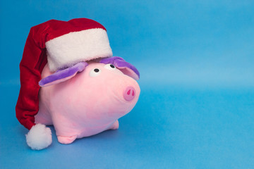 New Year pink pig in a red Santa Claus hat on a blue background, close-up, soft toy, New Year of...