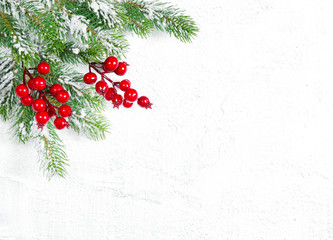 Christmas tree branches red berries decoration