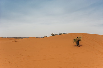 Fototapeta na wymiar Old berber woman work alone on a sand dune in Merzouga, Morocco