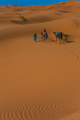 Camel caravan in Erg Chebbi Desert, Sahara Desert near Merzouga, Morocco
