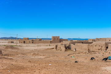Small farm in the small village near Merzouga, Morocco