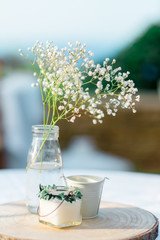 Gypsophile