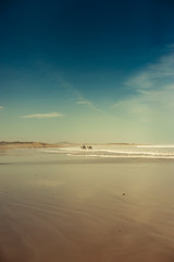 Camels on the beach at Essaouira, Morocco