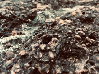Old brick