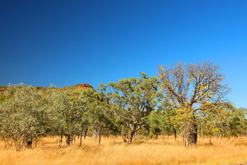 Australian outback in Kimberley