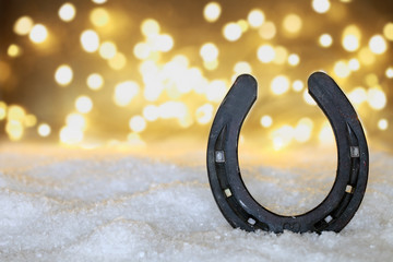 Hufeisen mit Bokeh Hintergrund im Schnee