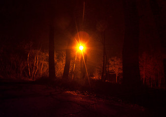Fototapeta na wymiar light in the night park