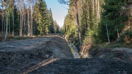 water furrow in forest