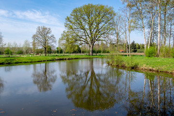 Fototapeta na wymiar Frühling an einem kleinen Teich