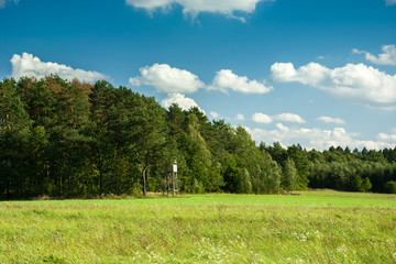 Green meadow, pulpit for hunting in front of the forest