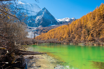 Fototapeta na wymiar pearl lake with snow mountain in yading nature reserve, Sichuan, China.