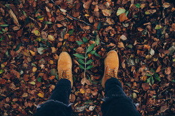 Autumn Background (Boots and Leaves)
