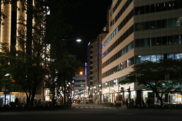 夜　景色 japan