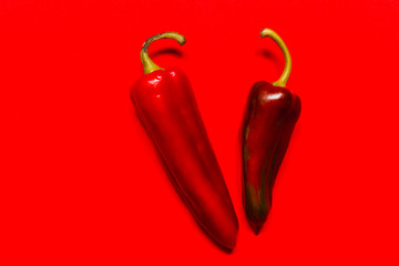red hot chili pepper on red background.Flat lay top view
