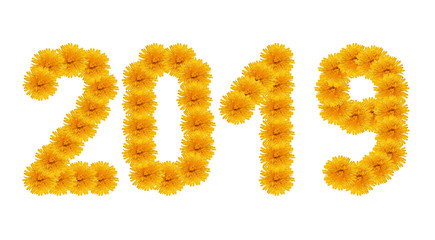 The Christmas, New Year from bright yellow dandelion   form of inscriptions, 2019 numbers, isolated on white.