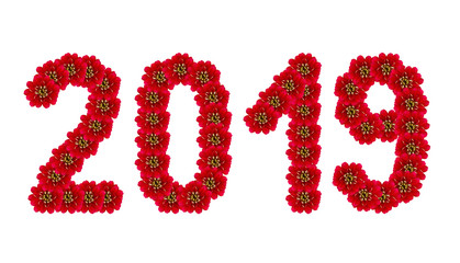 The Christmas, New Year from red flowers form of inscriptions, 2019 numbers, isolated on white.