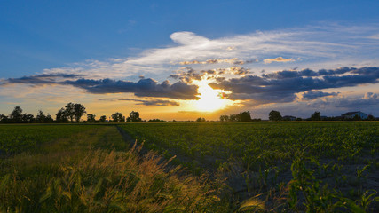 Fototapeta premium Panoramica di un tramonto in aperta campagna con un cielo azzurro