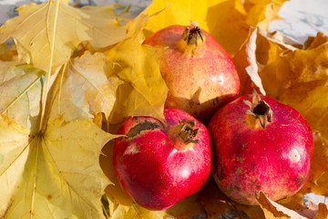 Autumn leaves and pomegranate. Ripe organic pomegranate in still life with yellow leaf. Seasonal background texture. Autumn foliage wallpaper. Fruits pattern