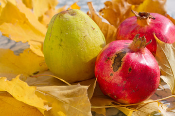 Autumn leaves, quince and pomegranate. Ripe organic pomegranate and quince in still life with yellow leaf. Seasonal background texture. Autumn foliage wallpaper. Fruits pattern. 
