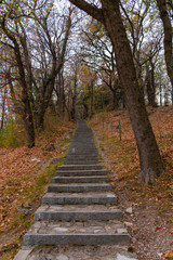 Parco Monte Brè - Colori d'autunno