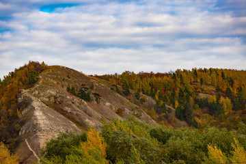 forest, mountains, sky