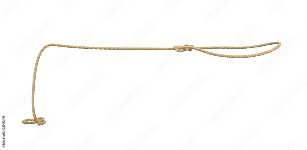 Poster 3d rendering of a rope tied in a lasso and flying on a white background.