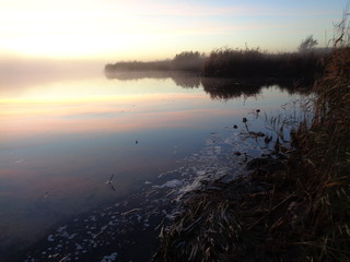 реке осень туман солнце утка 