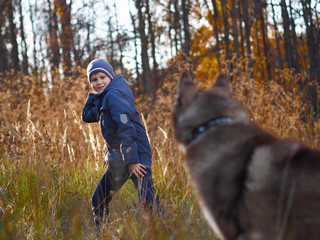 Boy playing with husky dog