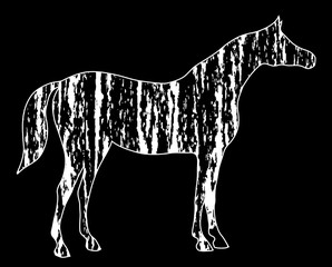 Grunge horse silhouette with white hand drawing artistic strokes texture on black. Vector art abstract style. Equestrian sport illustration.
