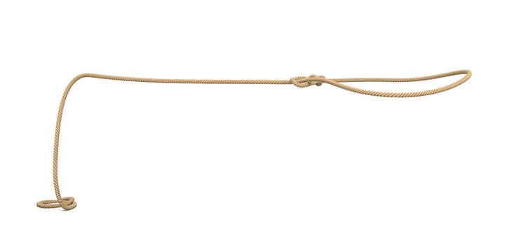 3d rendering of a rope tied in a lasso and flying on a white background.