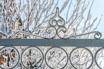 Fototapeta na wymiar Decorative forged metal gates in white frost, close-up