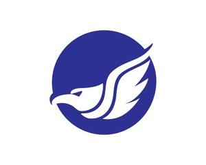 Falcon Eagle Bird Logo Template