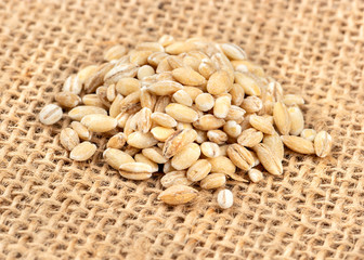 Pile pearl barley