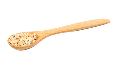 Pearl barley in spoon