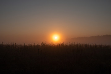 morning summer sunrise