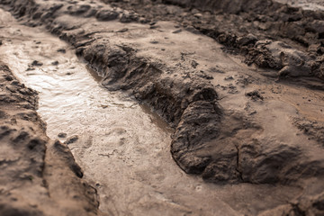 Wet land, road outside the city, swamp surface