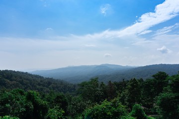 Landscape background sky and rain forest