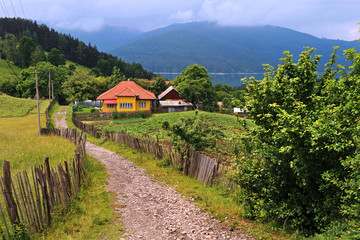 Landschaft am Bicaz See (Kreis Neamț) in Rumänien